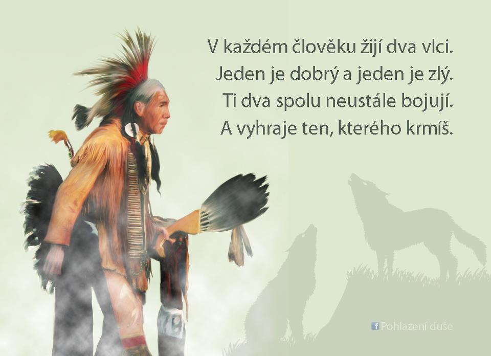 clanky--ruzne/citaty/citat-2.jpg